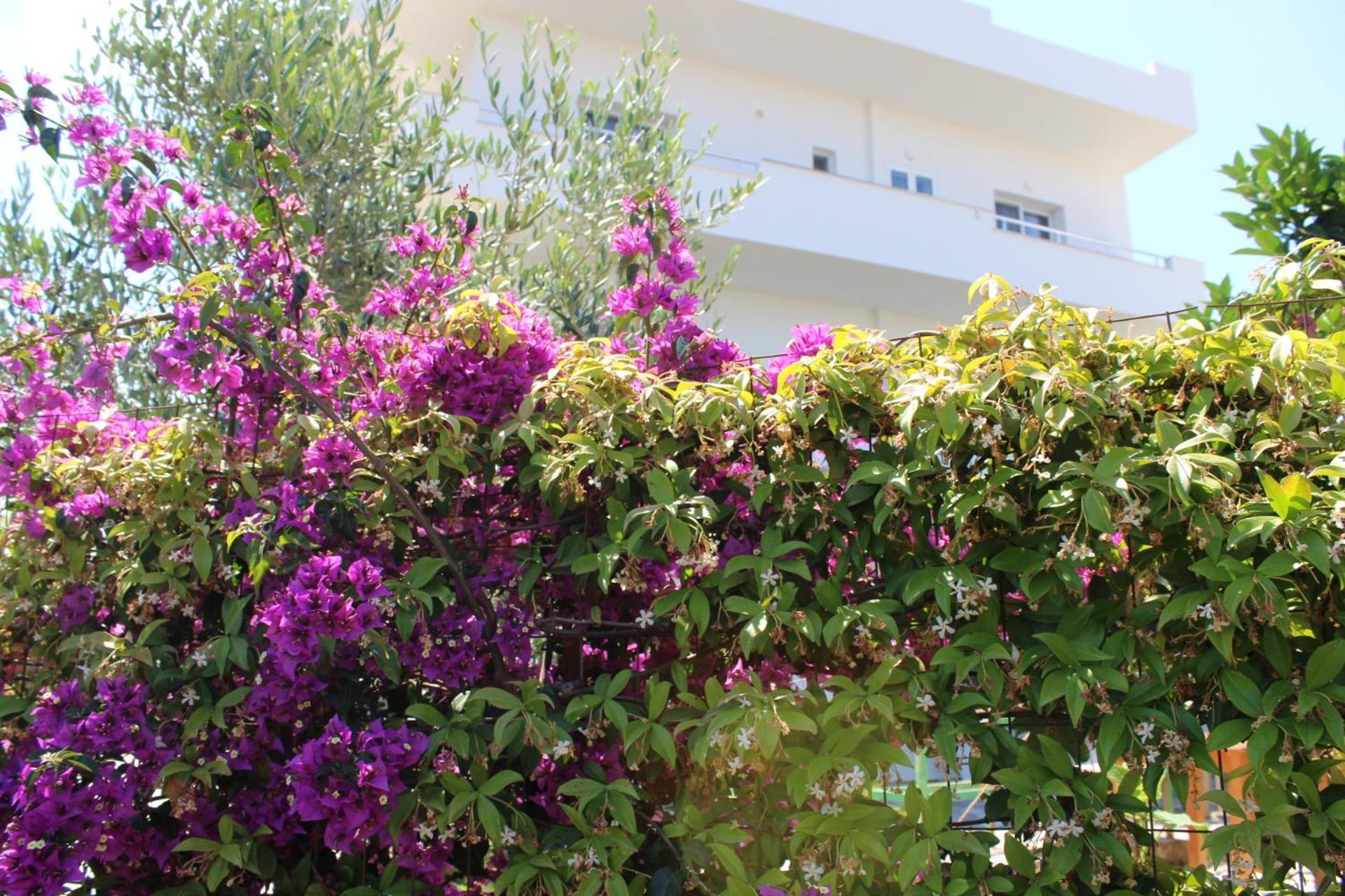 Seli'S Villa Ksamil Ngoại thất bức ảnh